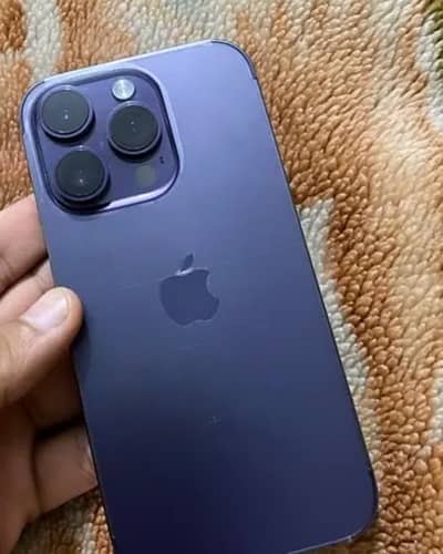 433632837-400x300.jpeg
