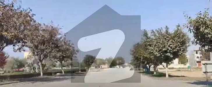 438355308-400x300.jpeg