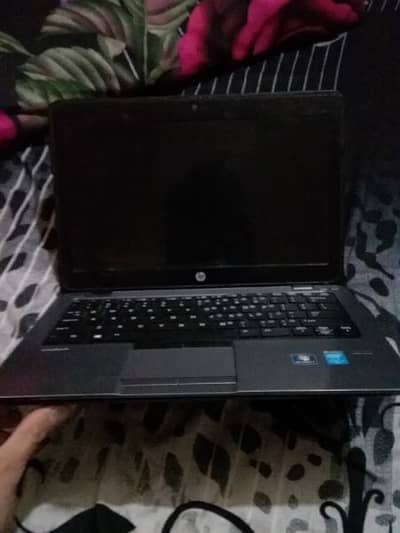 446271827-400x300.jpeg