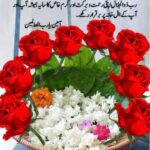 IMG-20231213-WA0003